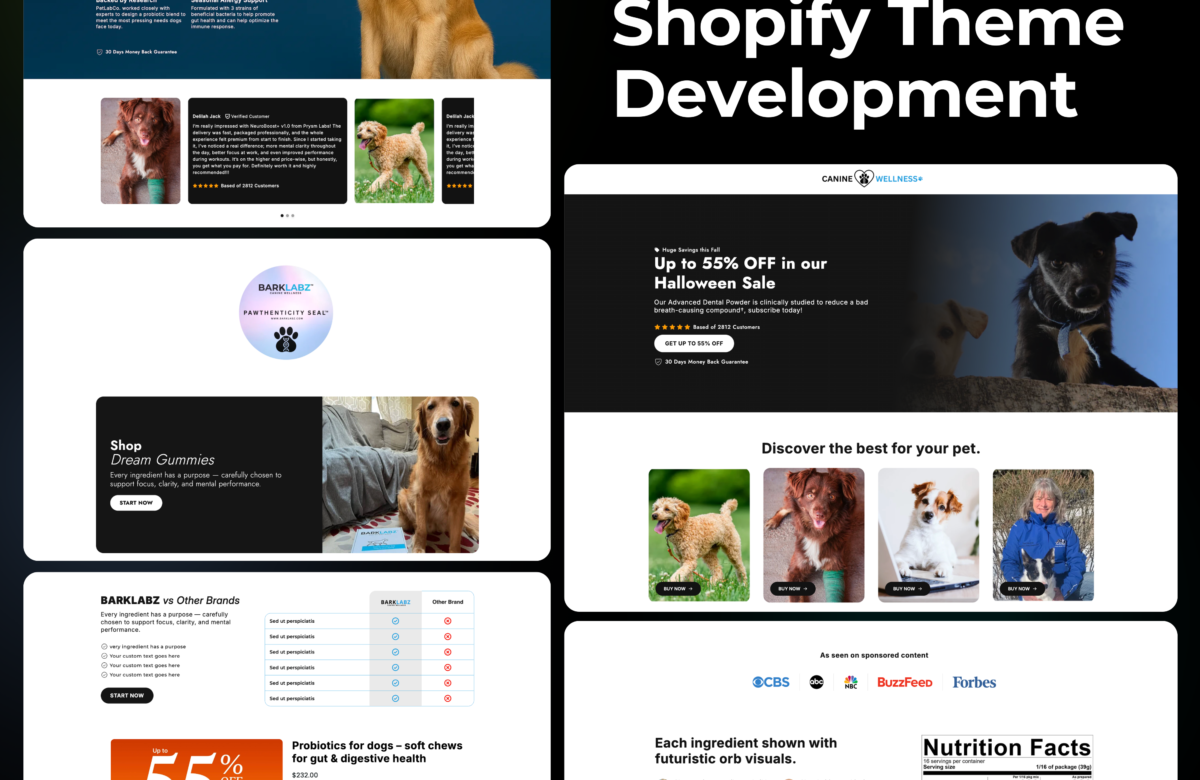 Best Shopify Developer