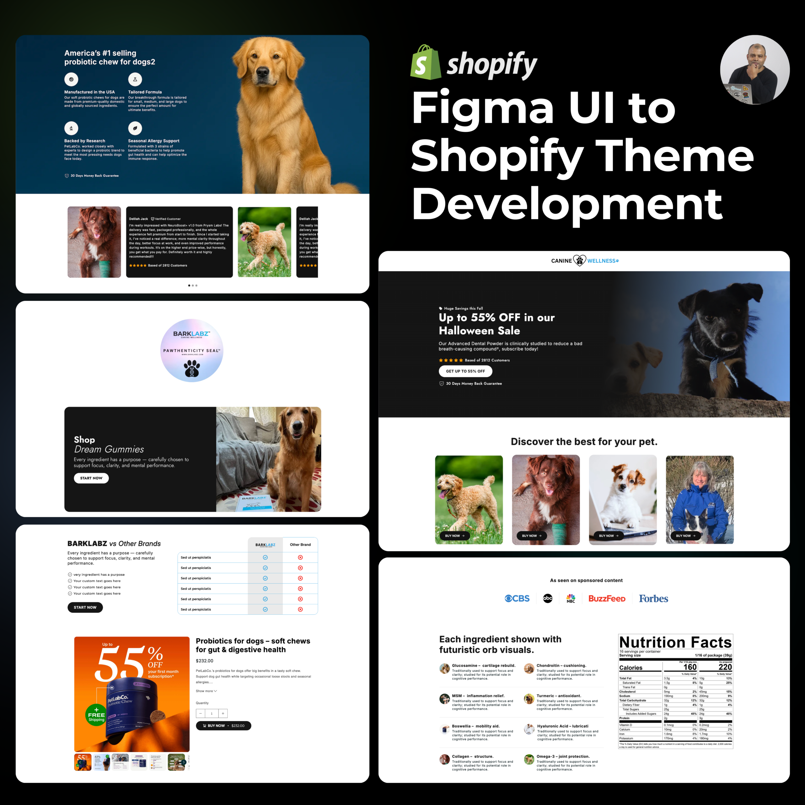 Best Shopify Developer