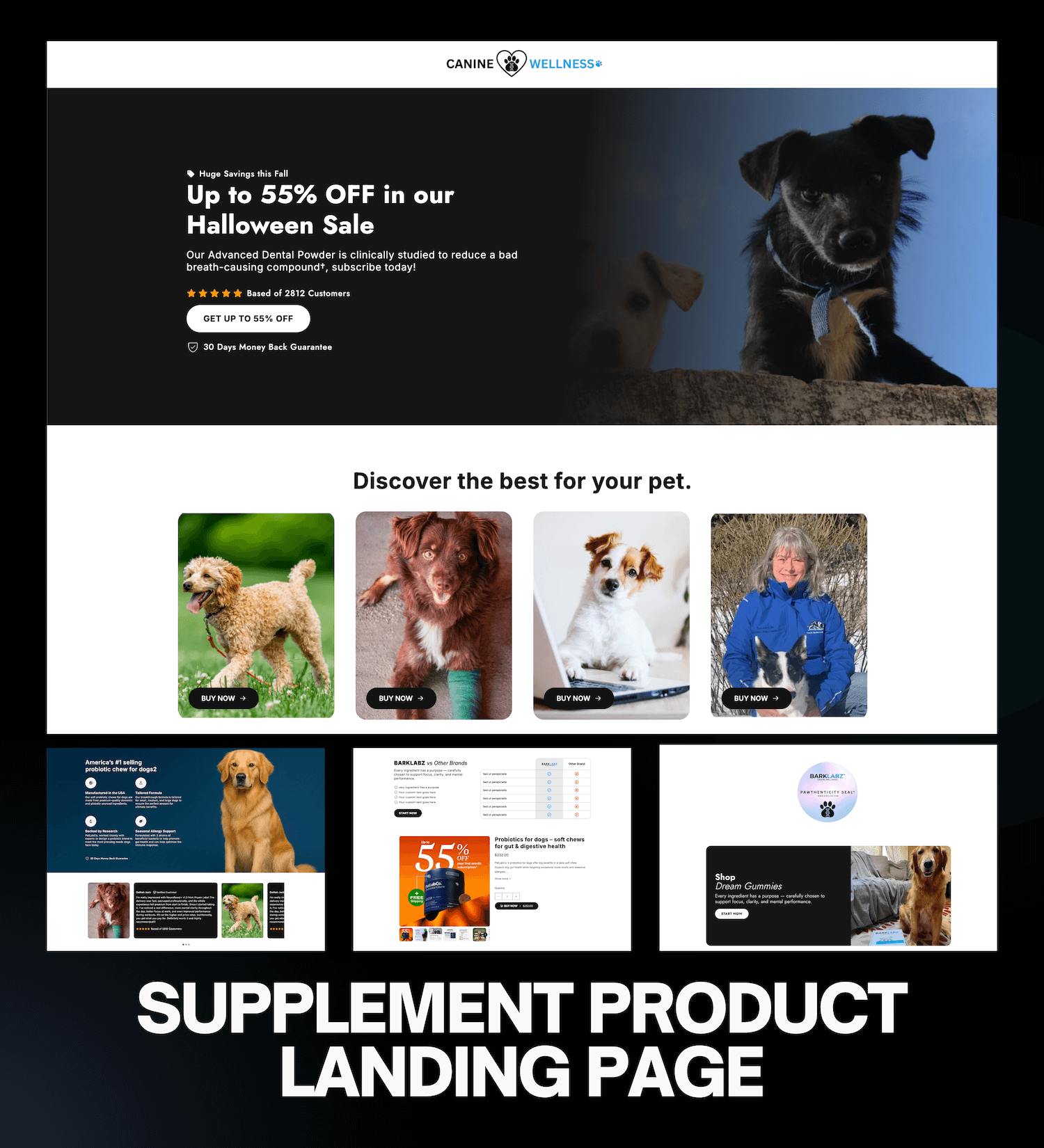 Best Shopify Developer in Bangladesh